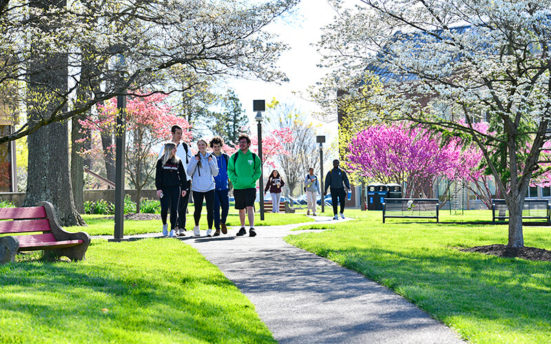 GMercyU's campus