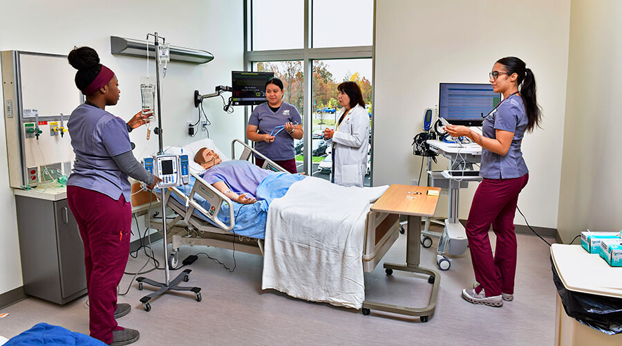 3-year undergraduate nursing degree