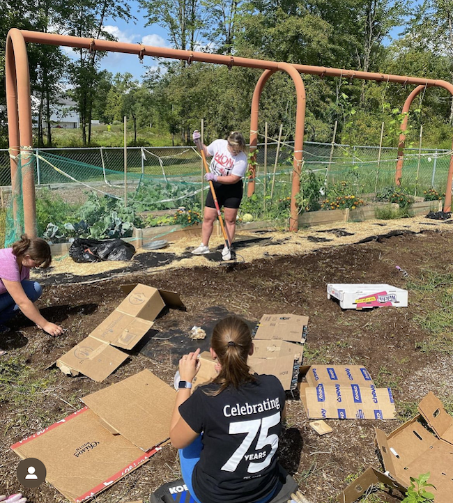 Public Health Garden