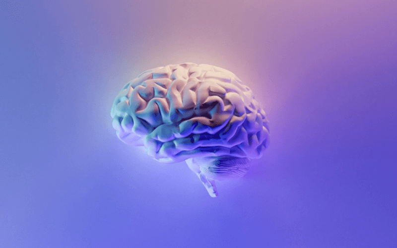 Psychology program